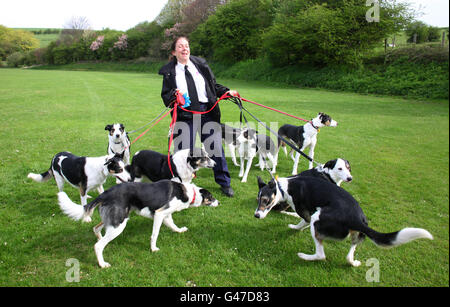 Rachel Bell, inspecteur de la RSPCA, est réunie avec 9 chiots Collie au refuge pour animaux de la RSPCA à Patcham, dans l'est du Sussex, qu'elle a secouru en 2008 de deux valises trouvées dans un placard sous escalier dans une maison à Sussex. Banque D'Images