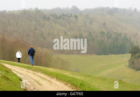 Vue générale de South Downs Way à Harting Down, West Sussex, qui se trouve dans le nouveau parc national de South Downs. La South Downs National Park Authority (SDNPA) est mise en service le 1er avril, lorsqu'elle prend sa responsabilité légale de diriger et de planifier l'avenir du tout nouveau parc national du Royaume-Uni. Banque D'Images