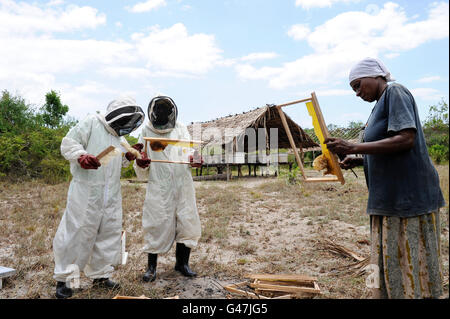 KENYA, Mombasa, village Vanga, projet de création de revenus dans les zones rurales, l'apiculture et le miel de décisions Banque D'Images