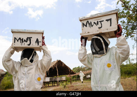 KENYA, Mombasa, village Vanga, projet de création de revenus dans les zones rurales, l'apiculture et le miel de décisions Banque D'Images