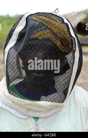 KENYA, Mombasa, village Vanga, projet de création de revenus dans les zones rurales, l'apiculture et le miel de décisions Banque D'Images