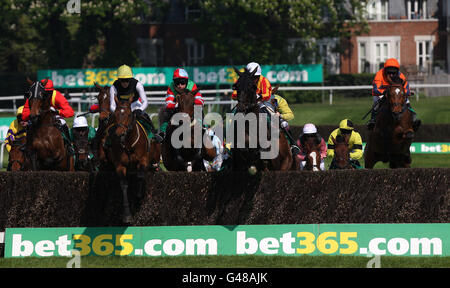 Jockey Sam Twiston-Davies sur Baby Run (2e gauche) Et Johnny Farrelly sur Gentle Ranger (au centre à droite) mener le terrain dans les premières étapes de la bet365 Chase de la coupe d'or Banque D'Images