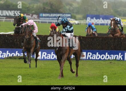 Courses hippiques - 2011 Punchestown Festival - Rabobank Champion Hhurdle Day - Punchestown Racecourse.Jockey Richard Johnson sur Wishfull pensant sur son chemin pour gagner le Mick la tente Memorial Novice handicap Chase Banque D'Images