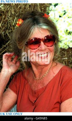 PA NEWS PHOTO 5/10/97 : ROYAUME-UNI UTILISER SEULEMENT BRIGITTE BARDOT À SA FONDATION POUR LES ANIMAUX À SAINT AUBIN, FRANCE Banque D'Images