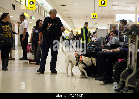 Les policiers et leurs chiens de perquisition effectuent des fouilles routinières dans le terminal 1 de l'aéroport d'Heathrow, alors que l'un des plus grands supporters d'Oussama ben Laden au Royaume-Uni a averti d'une autre attaque terroriste du style 7/7 au lendemain de sa mort. Banque D'Images