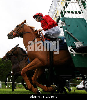 El Mansour, monté par Luke Morris, se brise des stalles pour les piquets de handicap de la portée lors de la Journée de la course caritative de la portée à Newbury Raceourse. Banque D'Images