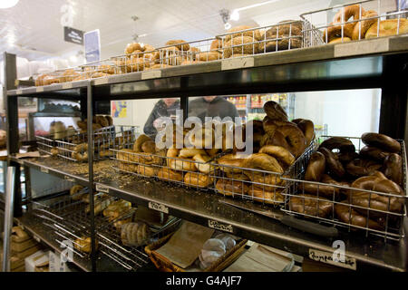 L'intérieur de la célèbre Murray's Bagels bagel store sur la 8e Avenue à New York City, États-Unis, 11 Novembre 2008 Banque D'Images