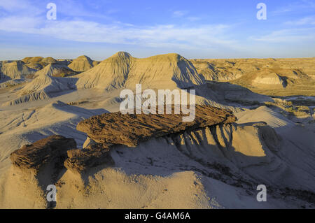 Dans Hoodoo Badlands, le parc provincial Dinosaur, en Alberta, Canada Banque D'Images