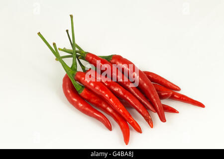 Chili Pepper isolé sur fond blanc Banque D'Images