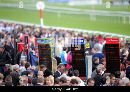 Les courses de chevaux - Blue Square Achilles/Enjeux Enjeux Jury Timeform Jour - Haydock Park Racecourse Banque D'Images