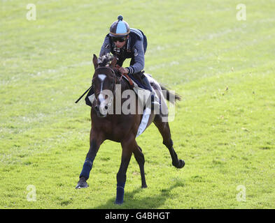 Jockey Mickael Barzalona à cheval Pour moi sur les galops à Epsom pendant le petit déjeuner avec les étoiles à l'hippodrome d'Epsom. Banque D'Images