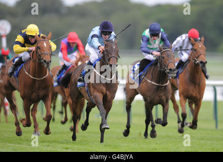 Les courses de chevaux - Blue Square Achilles/Enjeux Enjeux Jury Timeform Jour - Haydock Park Racecourse Banque D'Images