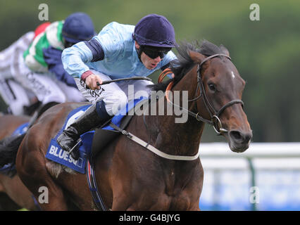 Les manèges de Jamie Spencer s'activent pour gagner le pari à bluesq.com piquets lors de la journée des enjeux du jury de l'Achilles de Blue Square/Timeform au champ de courses de Haydock Park. Banque D'Images