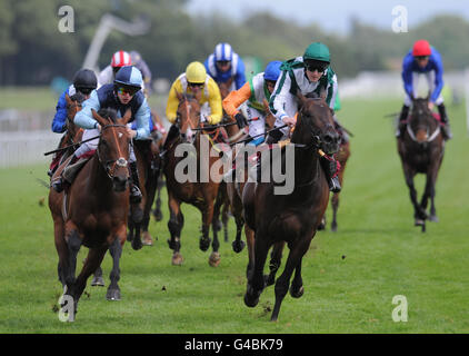 Tom Queally est victorieux avec l'aristocrate de l'Ouest pendant le Play Poker à gcasino.com piquets handicap pendant le Blue Square Achilles Stakes/Timeform jury Stakes Day à l'hippodrome de Haydock Park. Banque D'Images