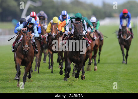 Tom Queally est victorieux avec l'aristocrate de l'Ouest pendant le Play Poker à gcasino.com piquets handicap pendant le Blue Square Achilles Stakes/Timeform jury Stakes Day à l'hippodrome de Haydock Park. Banque D'Images