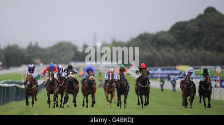 Les courses de chevaux - Blue Square Achilles/Enjeux Enjeux Jury Timeform Jour - Haydock Park Racecourse Banque D'Images