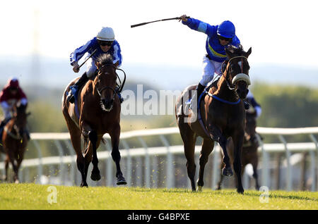 Les courses de chevaux - des célibataires nuit - Pontefract Racecourse Banque D'Images