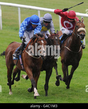Les courses de chevaux - 2011 - Festival de la plaque Seaton Delaval Raceday - Hippodrome de Newcastle Banque D'Images