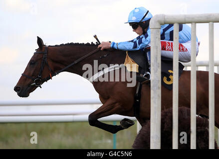 Brompton Brow, monté par Jake Greenall dans le Watch Royal Ascot sur les courses National Hunt Novices's Hurdle Race Banque D'Images