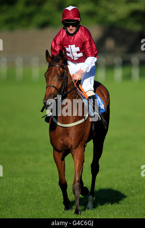 Les courses de chevaux - des célibataires nuit - Pontefract Racecourse Banque D'Images