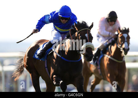 Les courses de chevaux - des célibataires nuit - Pontefract Racecourse Banque D'Images