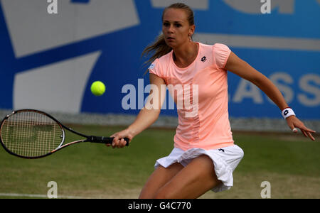 La Slovaquie Magdalena Rybarikova lors de son quart de finale contre la Sabine Lisicki d'Allemagne pendant le cinquième jour de l'AEGON Classic au Edgbaston Priory Club, Birmingham. Banque D'Images