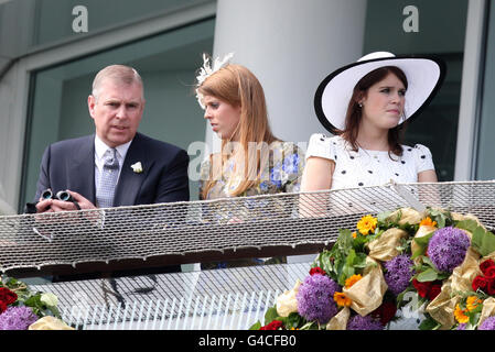 Les courses de chevaux - Investec Derby Festival - Investec Derby Day - Epsom Downs Racecourse Banque D'Images