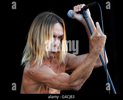 Iggy Pop se produit avec les Stooges pendant la deuxième journée du festival de l'île de Wight. Banque D'Images