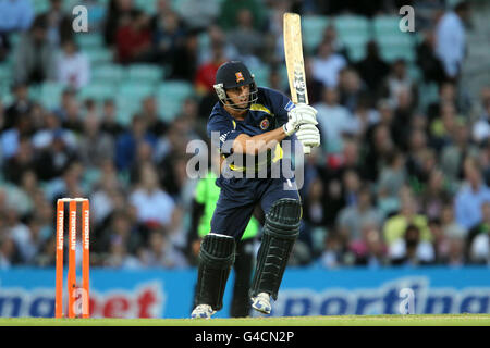 Cricket - Friends Life Twenty20 - South Group - Surrey Lions v Essex Eagles - The Kia Oval.Ryan Ten Doeschate d'Essex Eagles dans l'action de batting Banque D'Images