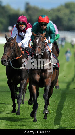 Courses hippiques - Glass Times Raceday - Haydock Park.Crown Counsel, criblé de Silvestre de Sousa (à droite), vient à la maison pour gagner les piquets de Handicap Tuffx Conservatory Roof Glass Banque D'Images