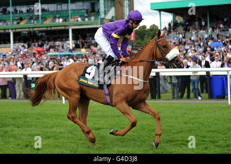 Courses hippiques - 2011 plate Festival - John Smiths Northumberland plate Day - Newcastle Racecourse.Mystery Star criblé par le jockey Ashley Morgan qui va poster avant le John Smith's Northumberland plate (Heritage Handicap) Banque D'Images