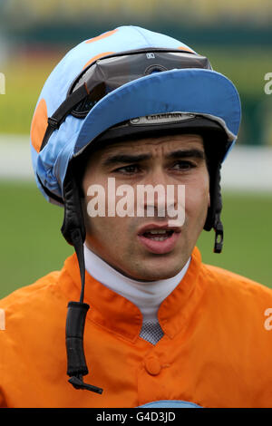 Courses hippiques - 2011 plate Festival - John Smiths Northumberland plate Day - Newcastle Racecourse. Lee Newman, jockey Banque D'Images