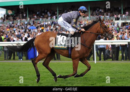 Courses hippiques - 2011 plate Festival - John Smiths Northumberland plate Day - Newcastle Racecourse.Icon Dream monté par le jockey Phillip Makin va poster avant le John Smith's Northumberland plate (Heritage Handicap) Banque D'Images