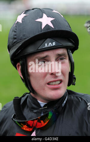 Courses hippiques - 2011 plate Festival - John Smiths Northumberland plate Day - Newcastle Racecourse. Adrian Nicholls, jockey Banque D'Images