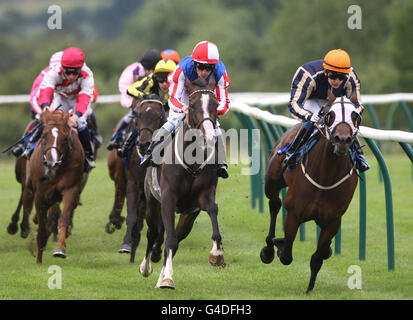 Horse Racing - Saison d'été - Hippodrome de Warwick Banque D'Images