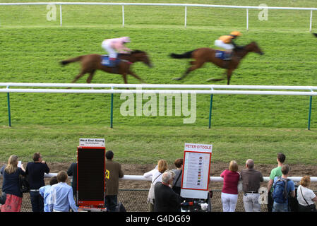 Les parieurs et les parieurs regardent le handicap de l'apprenti TurfTV à l'hippodrome de Warwick. Banque D'Images