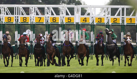 Horse Racing - Saison d'été - Hippodrome de Warwick Banque D'Images