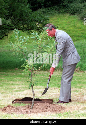 Le PRINCE CHARLES AU PAYS DE GALLES Banque D'Images