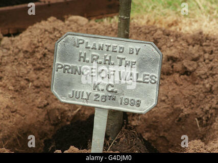 PA NEWS PHOTO 26/7/98 UNE PLAQUE COMMÉMORE LA PLANTATION D'UNE VARIÉTÉ DE CHÊNES AU CHÂTEAU DE PENRICE SUR GOWER, DANS LE SUD-OUEST DU PAYS DE GALLES. Banque D'Images