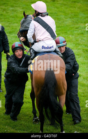 Les courses de chevaux - Mesdames soir - hippodrome de Chester Banque D'Images