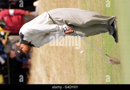 Golf ouvert/bois plaquettes Banque D'Images