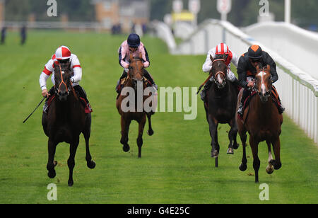 Les courses de chevaux - Ascot Racecourse Banque D'Images