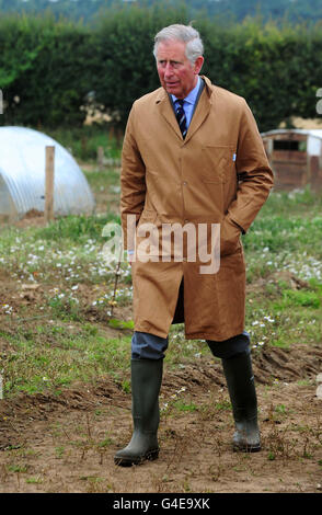 Prince Charles lors d'une visite à la ferme porcin biologique de Bunkers Hill, King's Lynn, Norfolk. Banque D'Images