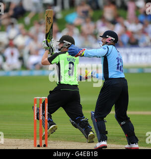 Cricket - La vie d'amis vingt20 - Groupe du Sud - Surrey Sussex Sharks Lions v - École Whitgift Banque D'Images