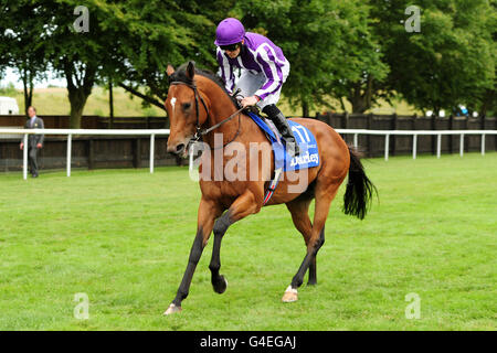 Jockey Colm O'Donoghue sur Oracle avant le Darley juillet Coupe (série des champions britanniques et défi mondial Sprint) Banque D'Images