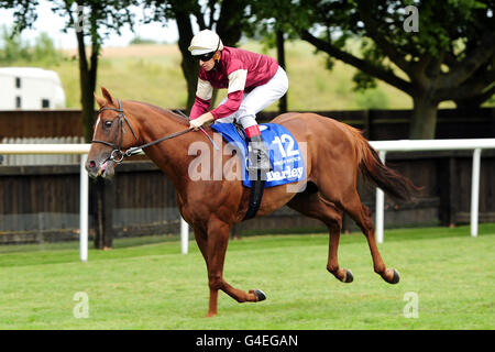 Jockey Hugh Bowman sur le wunker Watson avant le Darley Coupe de juillet (série des champions britanniques et défi mondial Sprint) Banque D'Images