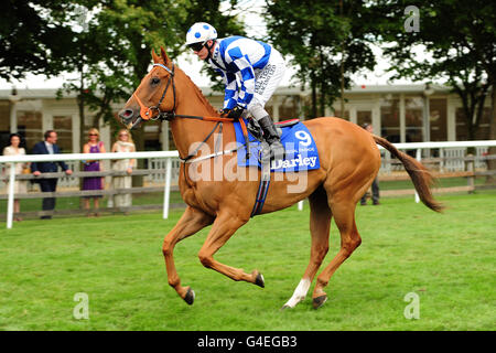 Le jockey Adrian Nicholls sur la Regal Parade avant le Darley Coupe de juillet (série des champions britanniques et défi mondial Sprint) Banque D'Images