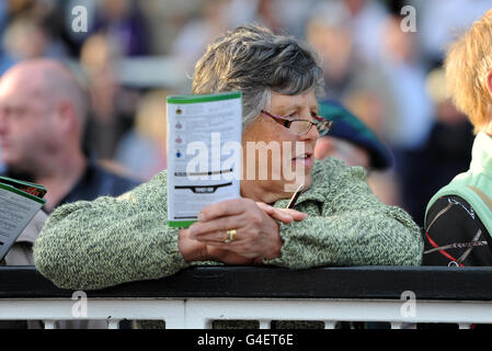 Les courses de chevaux - Uttoxeter Nuits - Uttoxeter Racecourse Banque D'Images