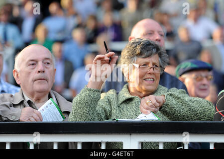 Les courses de chevaux - Uttoxeter Nuits - Uttoxeter Racecourse Banque D'Images