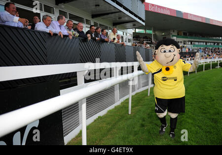 Courses hippiques - nuits d'Uttoxeter - Hippodrome d'Uttoxeter.La mascotte d'Albion de Burton Billy Brewer réagit après avoir pris la deuxième place dans la course de mascotte de Sunflower Sprint à l'hippodrome d'Uttoxeter Banque D'Images